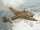 Ju 88A-11, WWII German Bomber