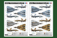 Persian Cat F-14A TomCat-IRIAF