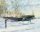 IL-2 Sturmovik on Skis