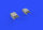 Spitfire mk.VIII/IX/XVI radiator fairing for Eduard