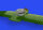 Z-37A aerial applicator M72 1/72 for EDUARD