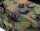Leopard 2A6/A6M