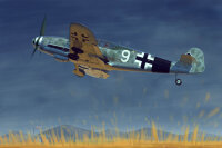 Messerschmidt Static Aircraft