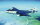 Seahawk MK.100/101