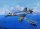 Supermarine Seafang F.MK.32 Fighter