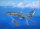 EA-3B Skywarrior Strategic Bomber
