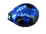 Quadcopter Ladybug - Cockpit blau