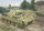 German Sd.Kfz.171 PzKpfw Ausf A