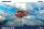 Albatros D.V , Weekend Edition