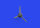 Bf 109F propeller early PRINT 1/72 EDUARD