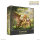 Heroes of Might and Magic III: The Board Game Rampart Expansion (FR)
