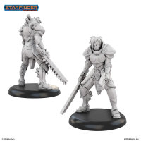 Masters of the Universe Miniatures: KNIGHT OF GOLARION