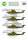 Bell AH-1G Cobra 11th Aviation Helicopter Cavalry