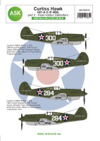 Curtiss H81-A-2 part 2 - Pearl Harbor Defenders