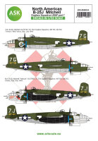 B-25J Mitchell part 7 - US Dogface Squadron, Yahoudi,...
