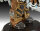 World of Warcraft The Orc Thrall