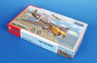 P-40E Warhawk Tigers and Sharks