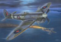 Tempest Mk.V Doodle-bug Hunters