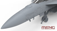 Boeing EA-18G Growler Electronic Attack Aircraft Yellow Jackets