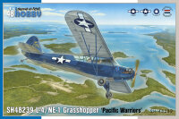 L-4/NE-1 Grasshopper ‘Pacific Warriors’