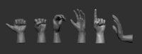 Hands - Ruce