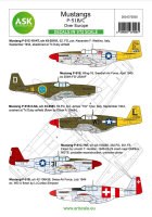 P-51B Mustang part 1 - Europe. The Bastards behind the...