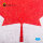 Canada Flag - Base - Acrylic 3 mm (280 x 180 mm) (170 g)