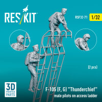 F-105 (F, G) Thunderchief male pilots on access ladder (2...