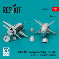 AGM-142 Popeye/Have Nap missiles (2 pcs) (F-4E, F-15I,...