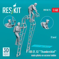 F-105 (F, G) Thunderchief male pilots on access ladder (2...