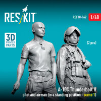A-10C Thunderbolt II pilot and airman (in a standing...