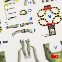 F-4G interior 3D decals for Meng kit