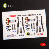 F-14B Tomcat interior 3D decals for GWH kit