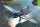 H-75N Hawk