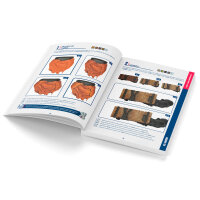 Color BSL System Spanish
