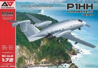 P.1HH Hammerhead (Demo) UAV