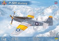 P-51H Mustang WWII fighter (in USAF service)