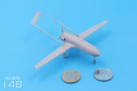 An-196 Liutyi deep-strike UAV (1/48)